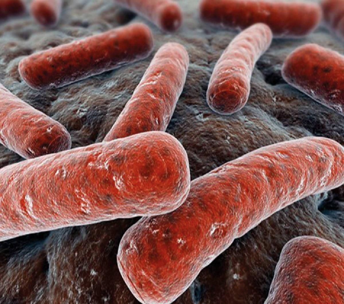 ¿Por qué hablar y dar importancia a la tuberculosis en el siglo XXI?