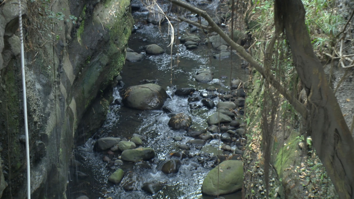 La contaminación de barrancas quedó tipificada como delito