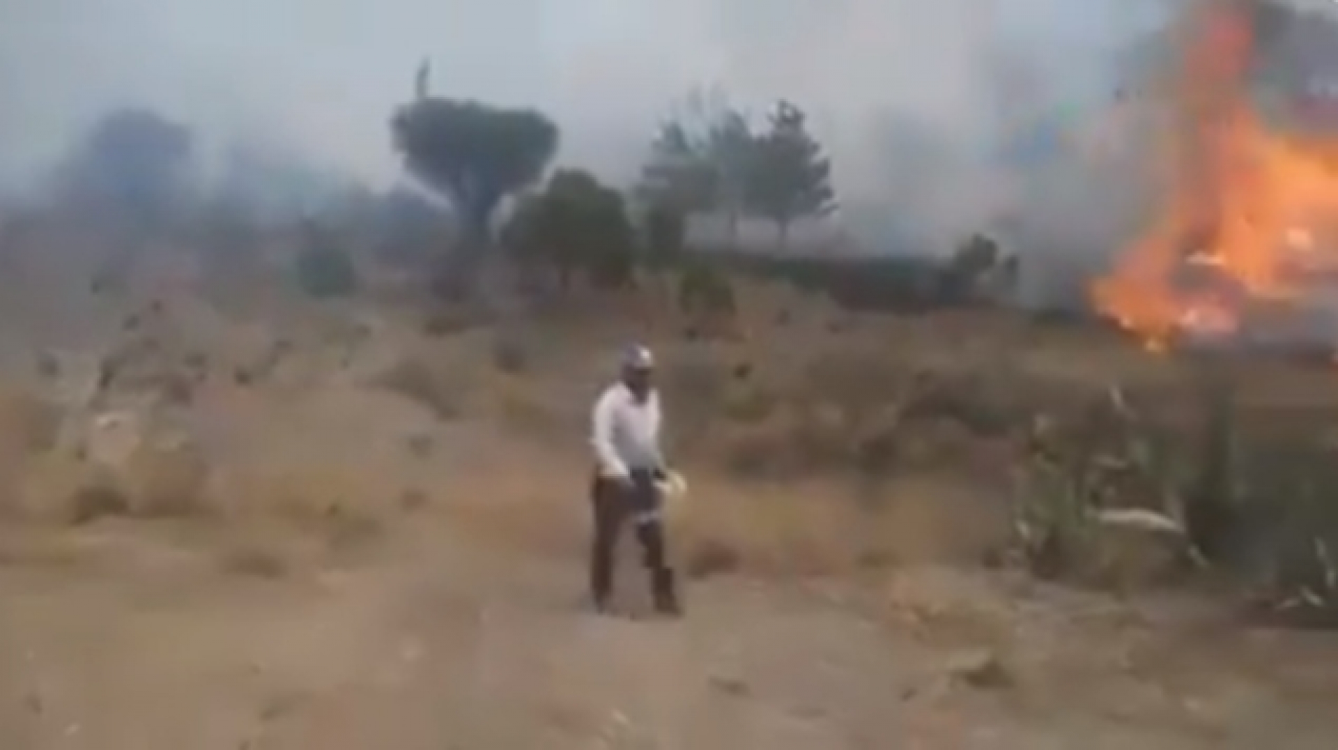 VIDEO: “Son mis árboles, yo los sembré”, responde hombre que prende fuego a zona boscosa