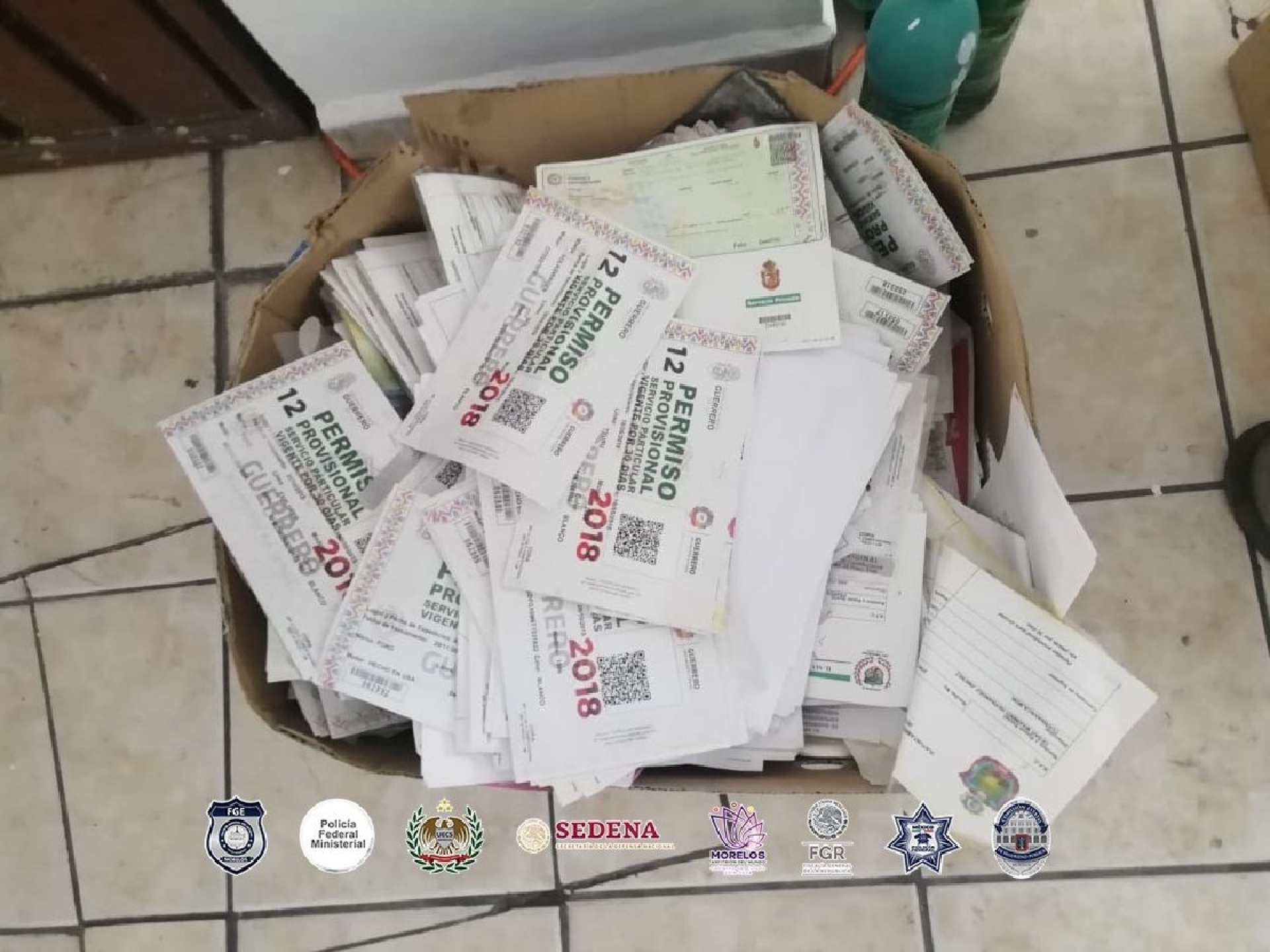 Reiteran llamado a sancionar vehículos con permisos de Guerrero