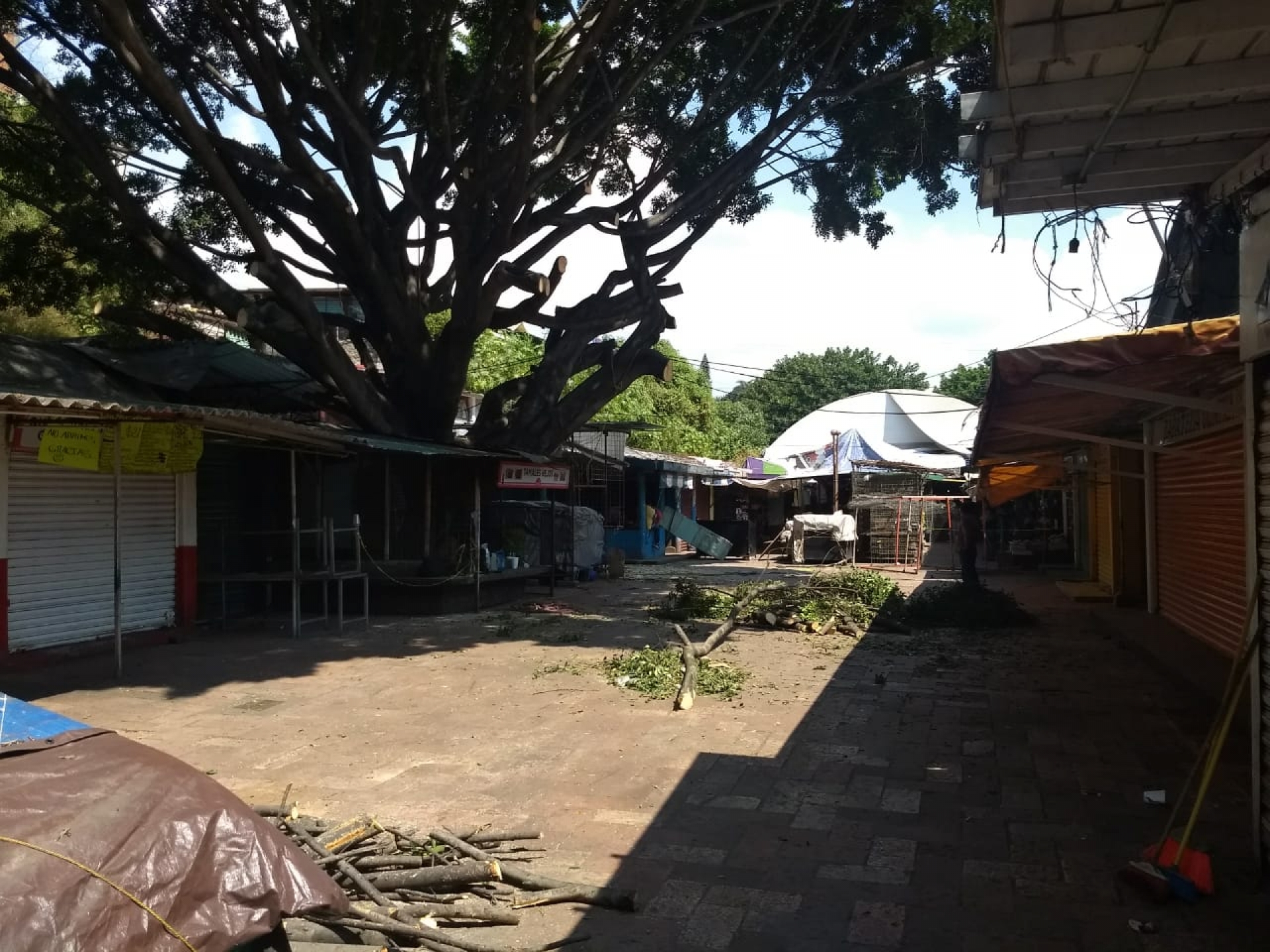 Realizan limpieza en el mercado ALM