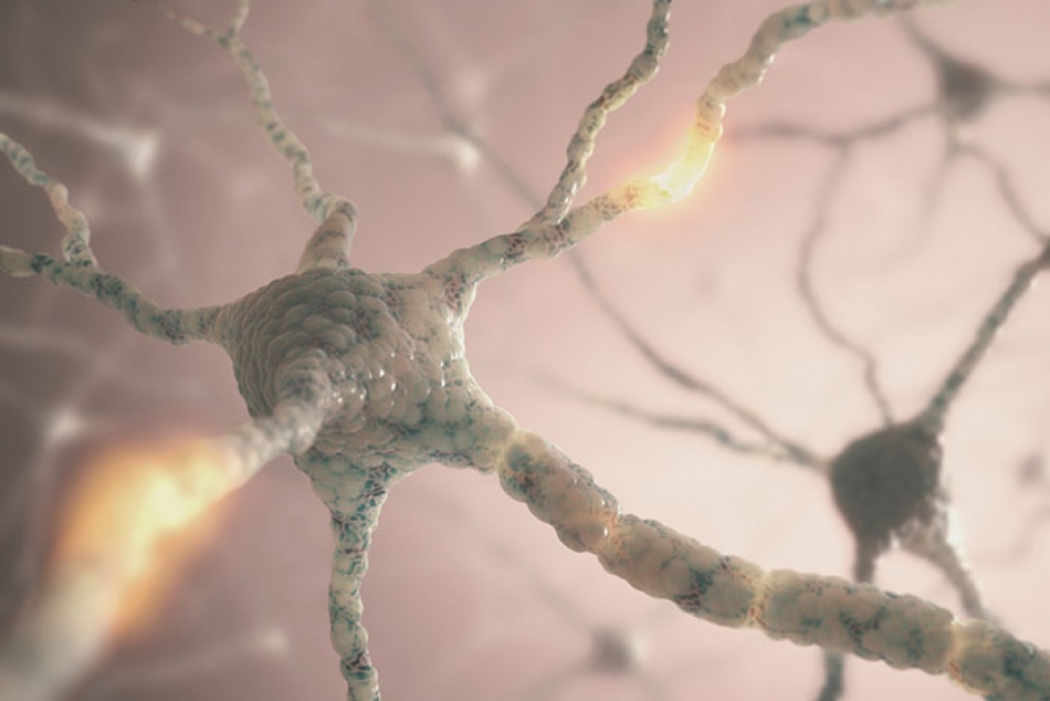 No sólo engorda, esto es lo que hace el azúcar a tu cerebro