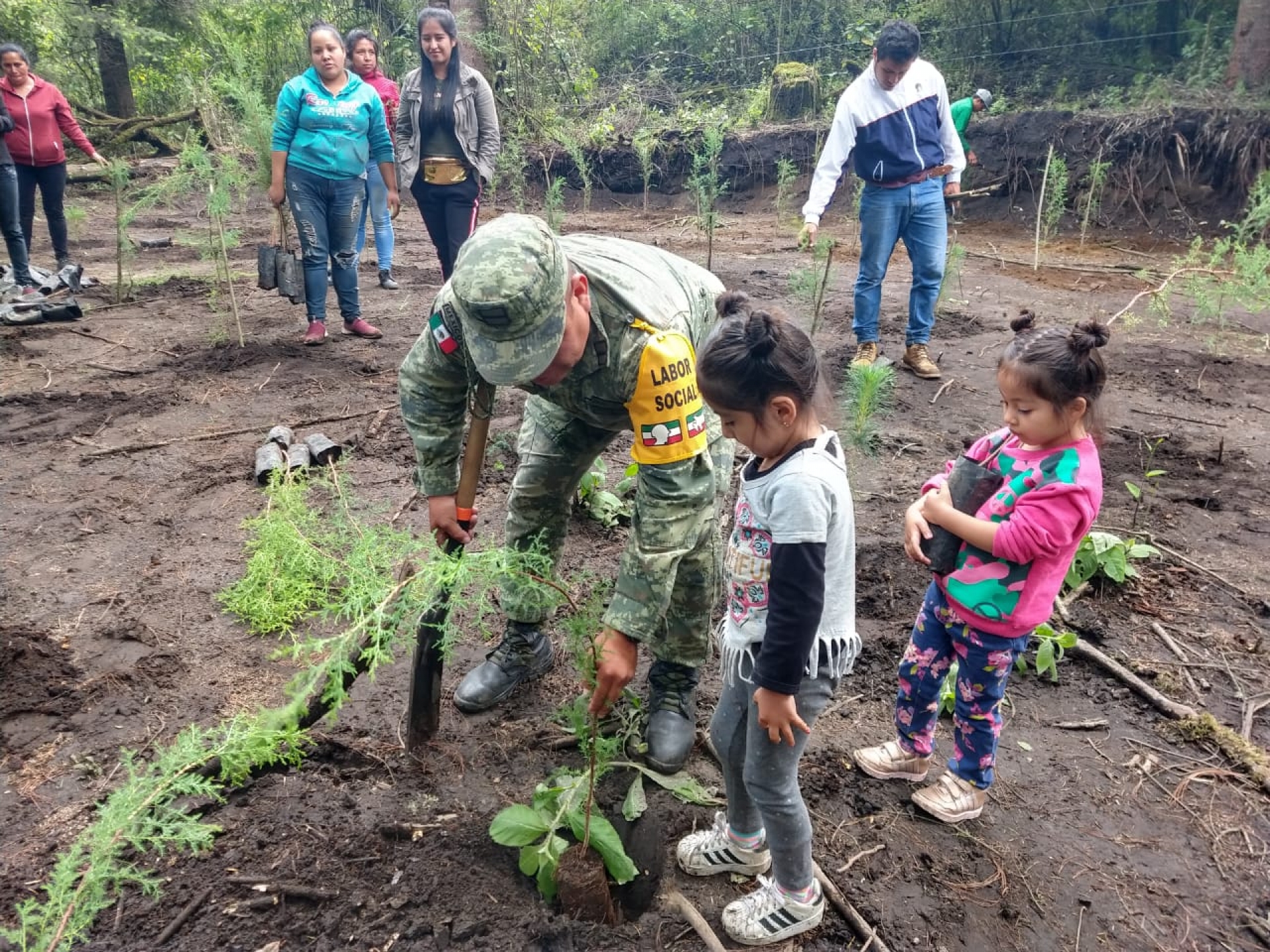 Plantan elementos del Ejército Mexicano y estudiantes árboles en Tetela del Volcán