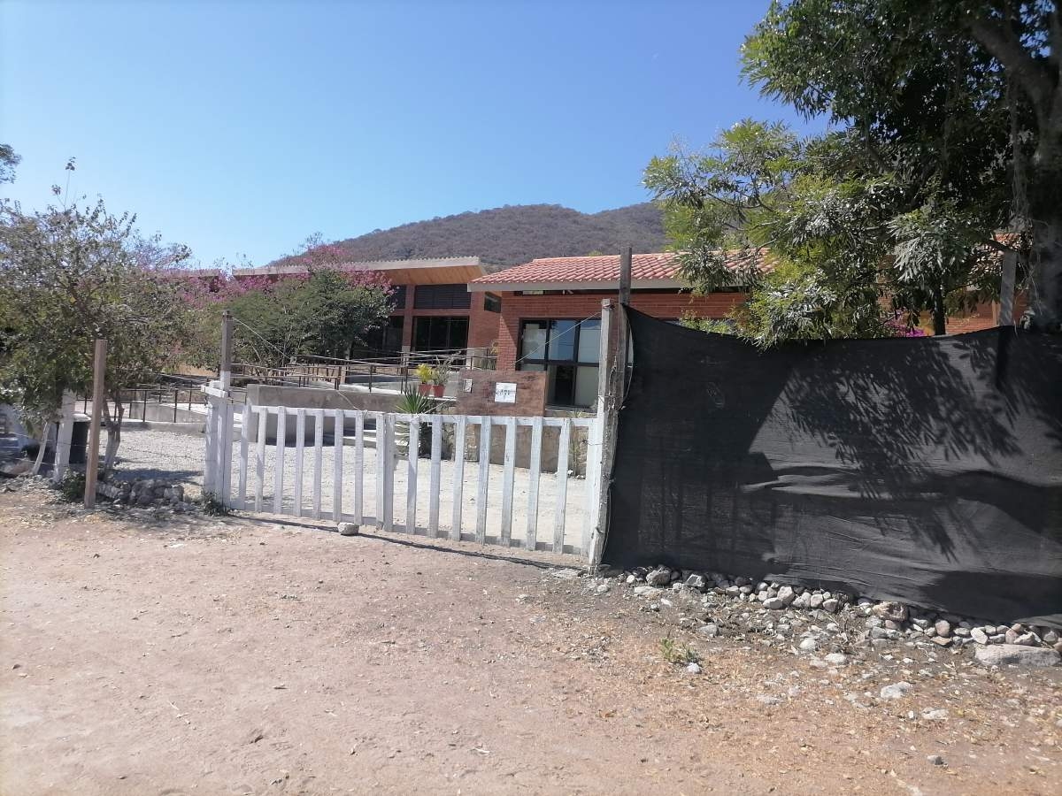 Cada universidad marcará medidas para prevenir violencia en sus instalaciones