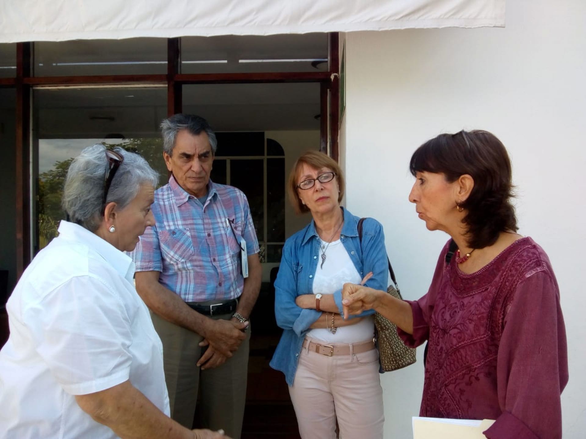 Demandan ambientalistas frenar tala indiscriminada de árboles