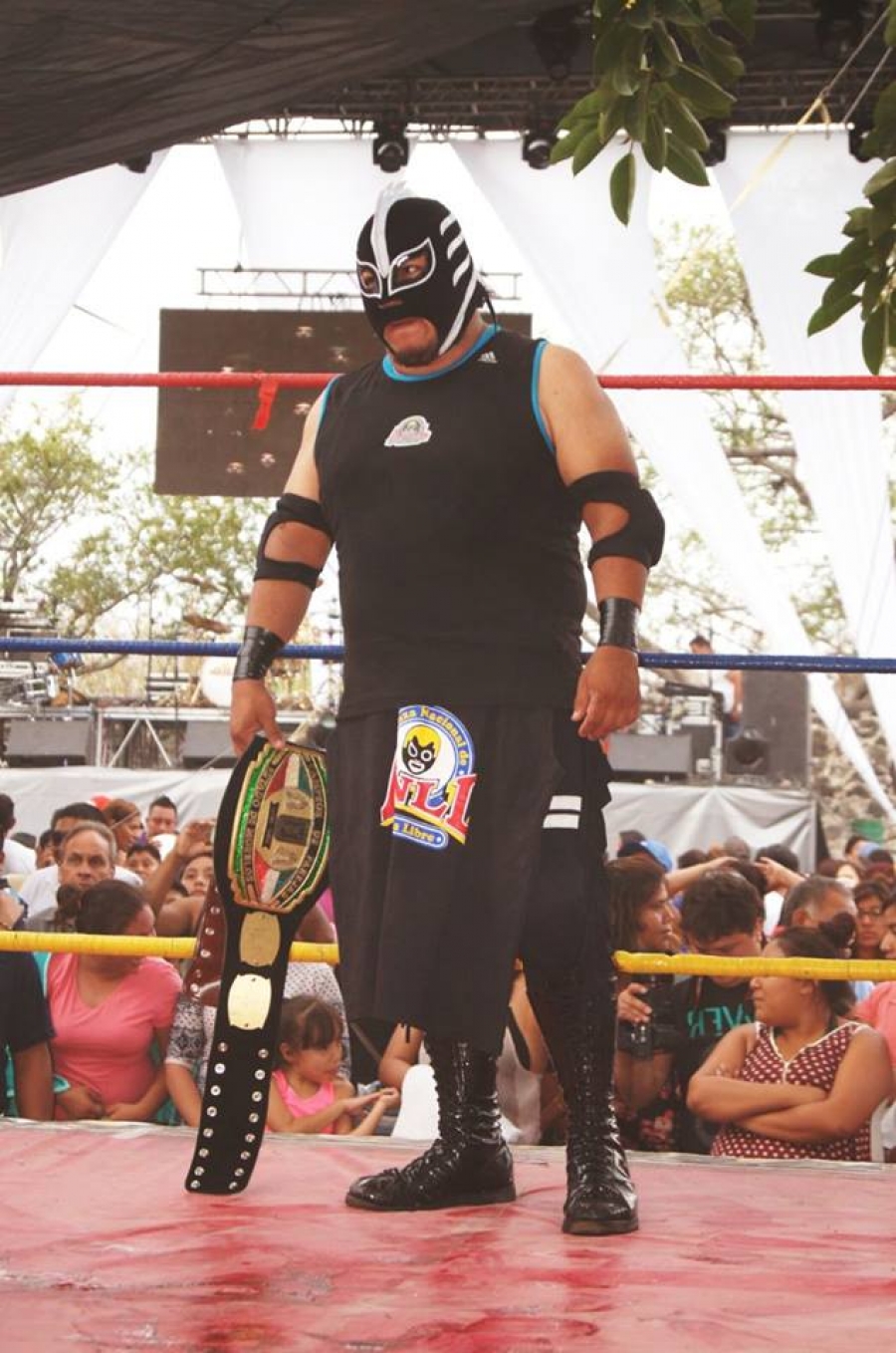 La ANLL festejará el Día del Niño