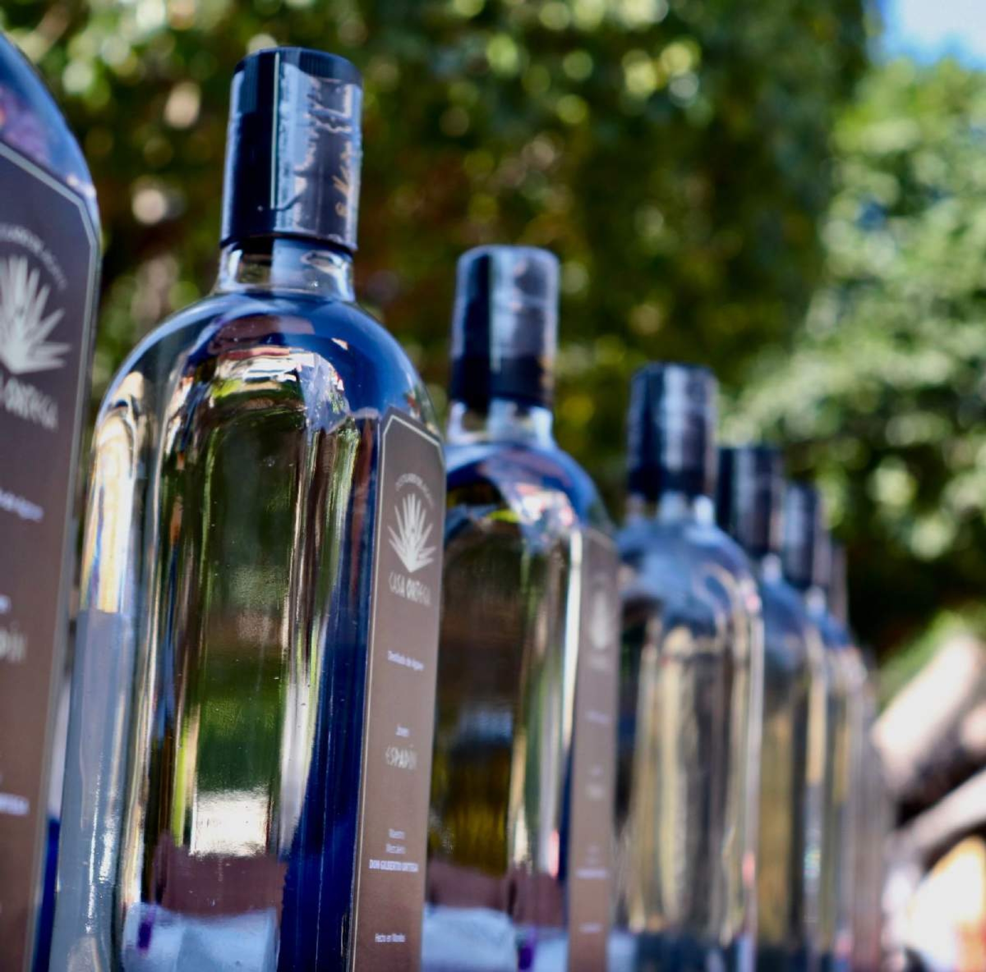 Realizarán estudio para conocer potencial del mezcal morelense