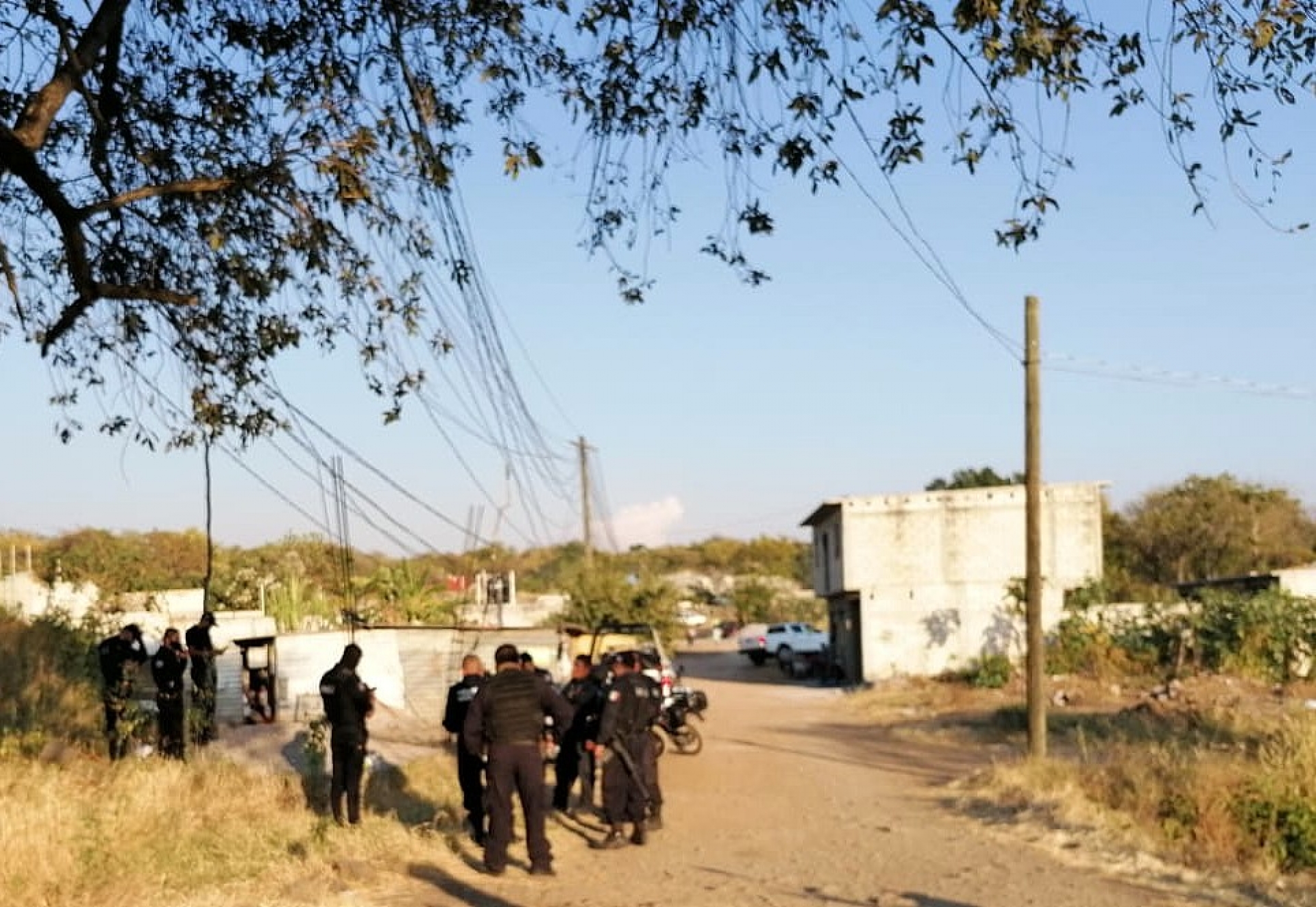 Hallan un cadáver en un sembradío de sorgo, en Ampliación Cerritos de García