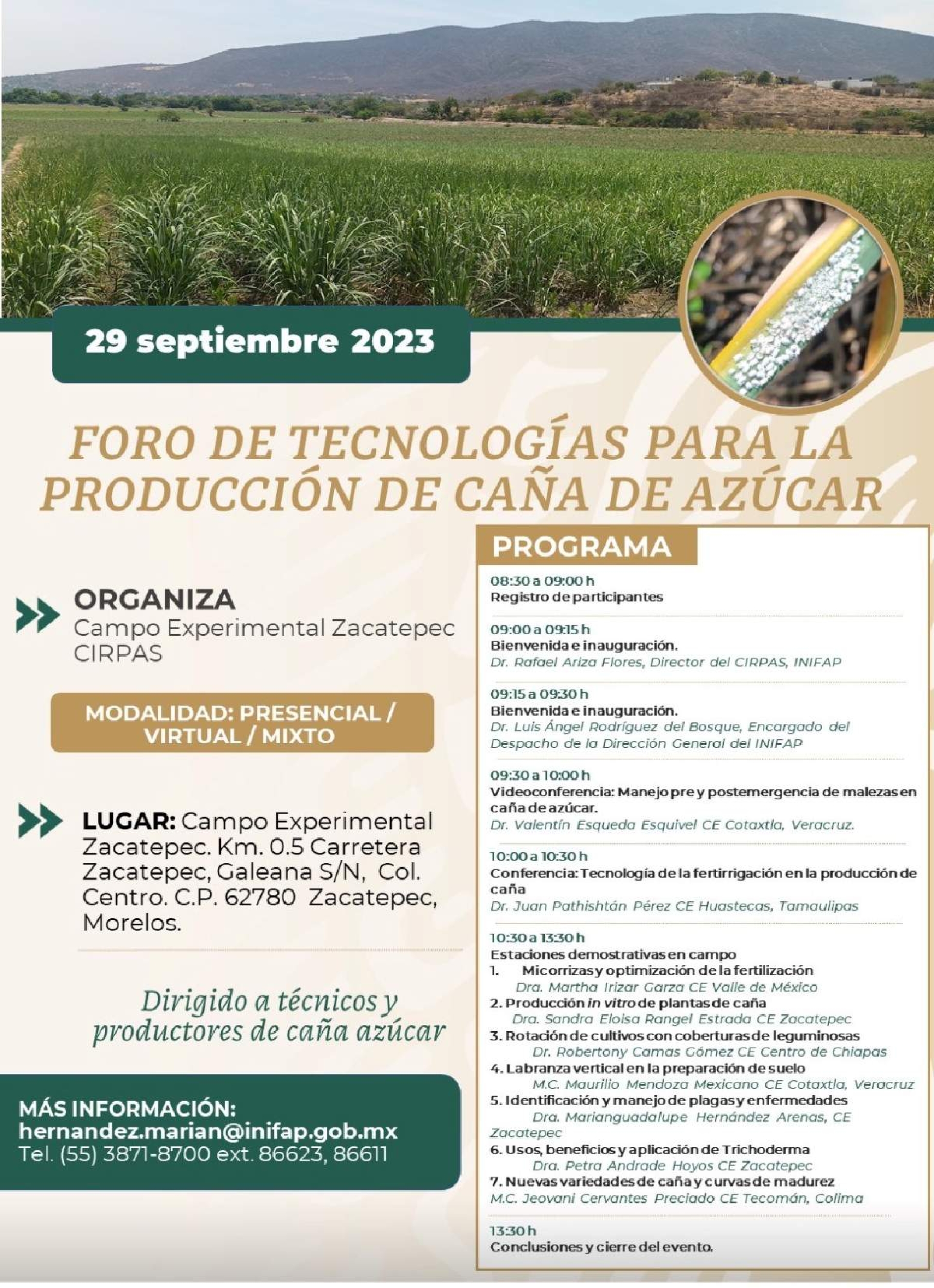 Realizarán foro de tecnologías para la producción de caña de azúcar