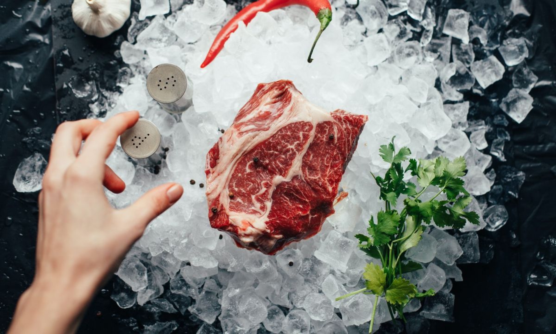 ¿Cuánto tiempo dura la carne congelada antes de que se descomponga?