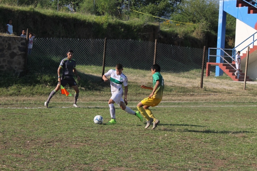Selva Cañera, inmunes al veneno