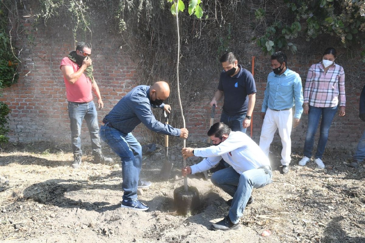 Buscan plantar cuatro mil árboles en el municipio de Cuautla