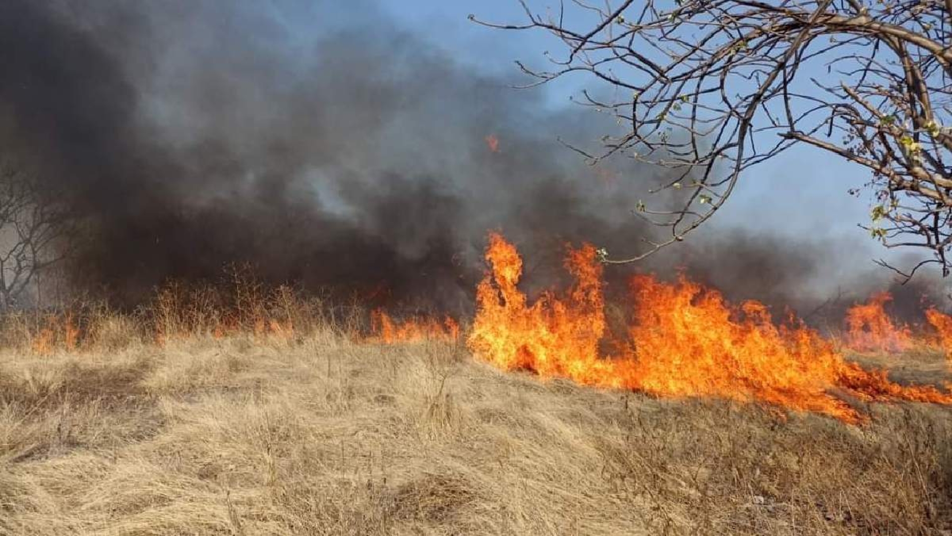 Después de cinco días, sofocan incendio en Casahuatlán