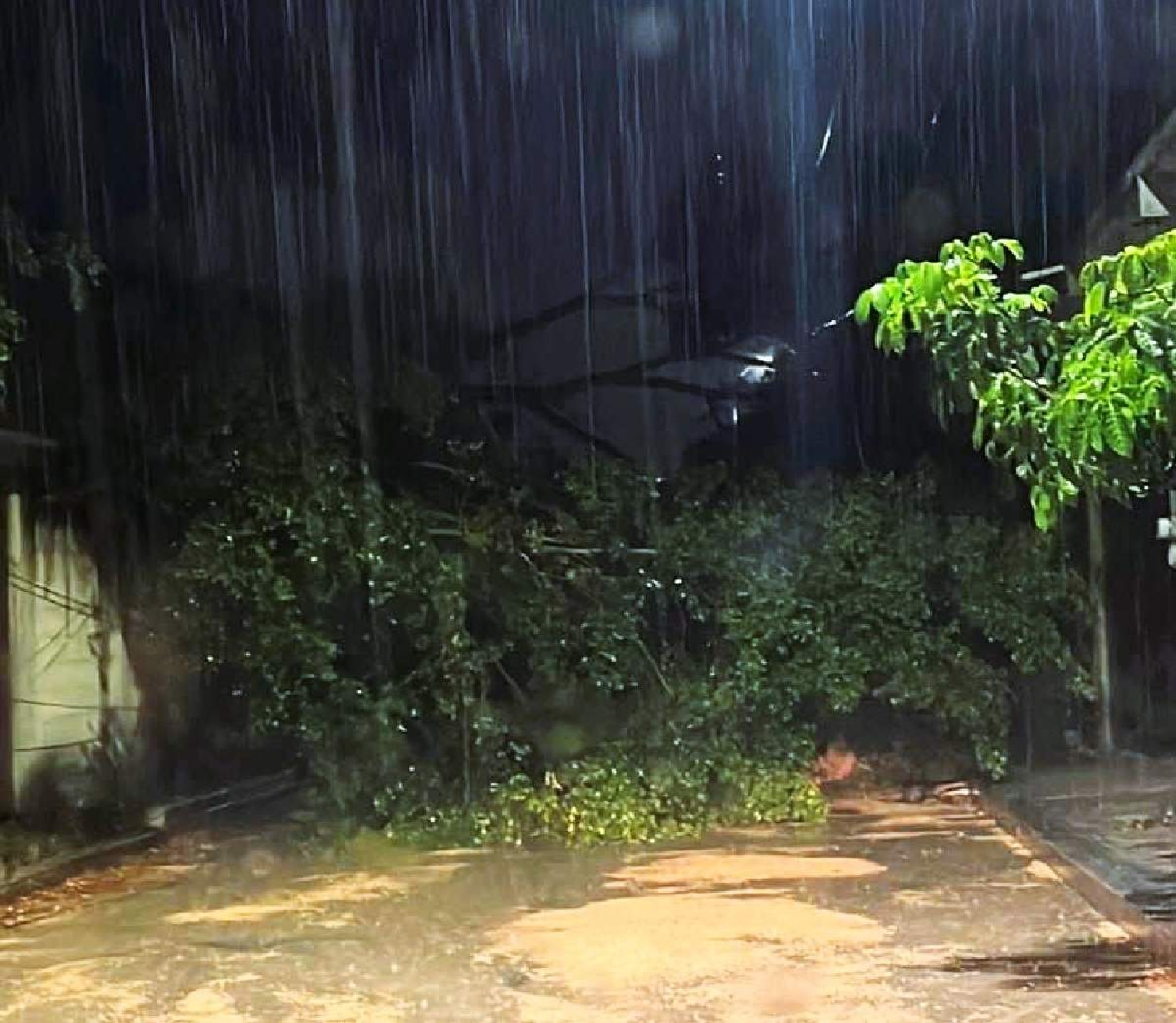 Exhortan a mantener medidas preventivas por lluvias