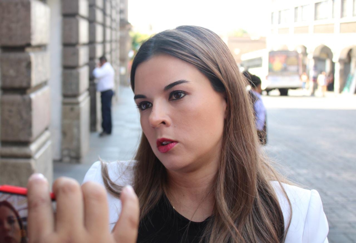 Trabaja Hacienda en iniciativa integral sobre ampliación presupuestal: Boggio Tomasaz