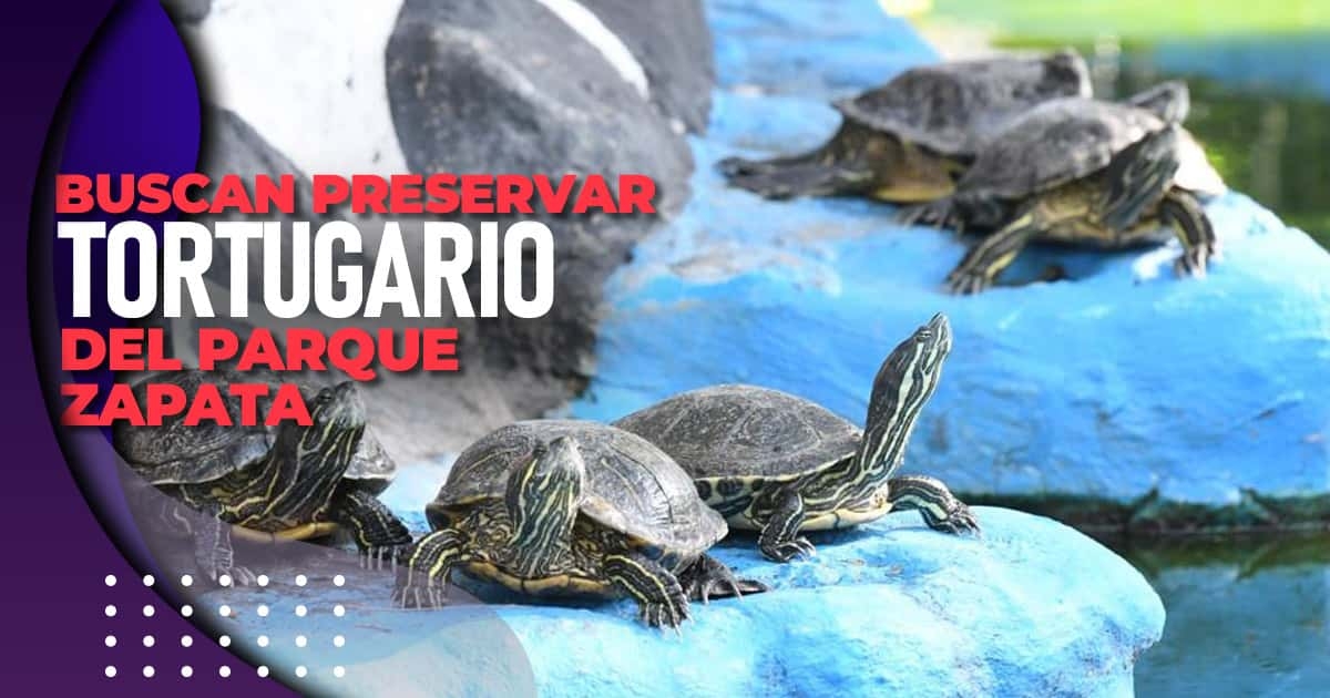 Buscan preservar tortugario del parque Zapata