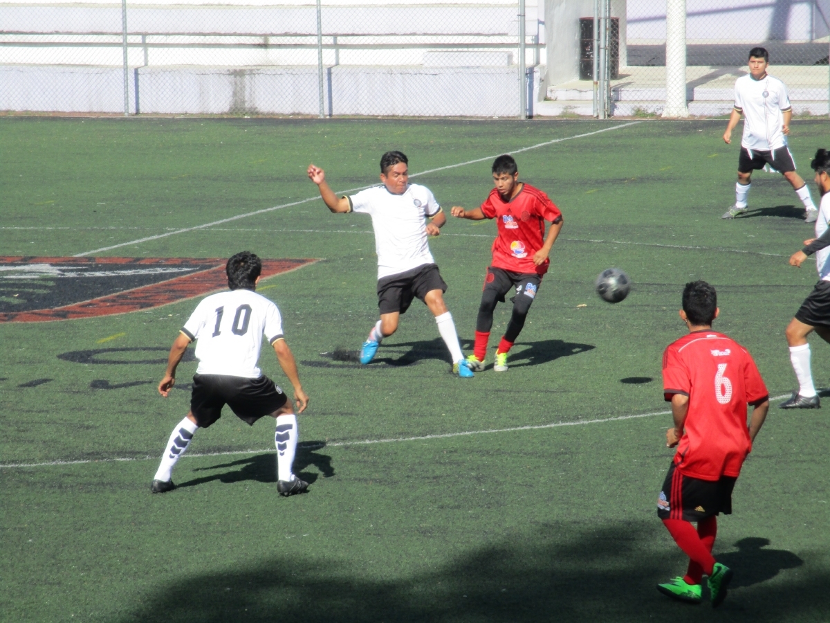 Competencia sin tregua