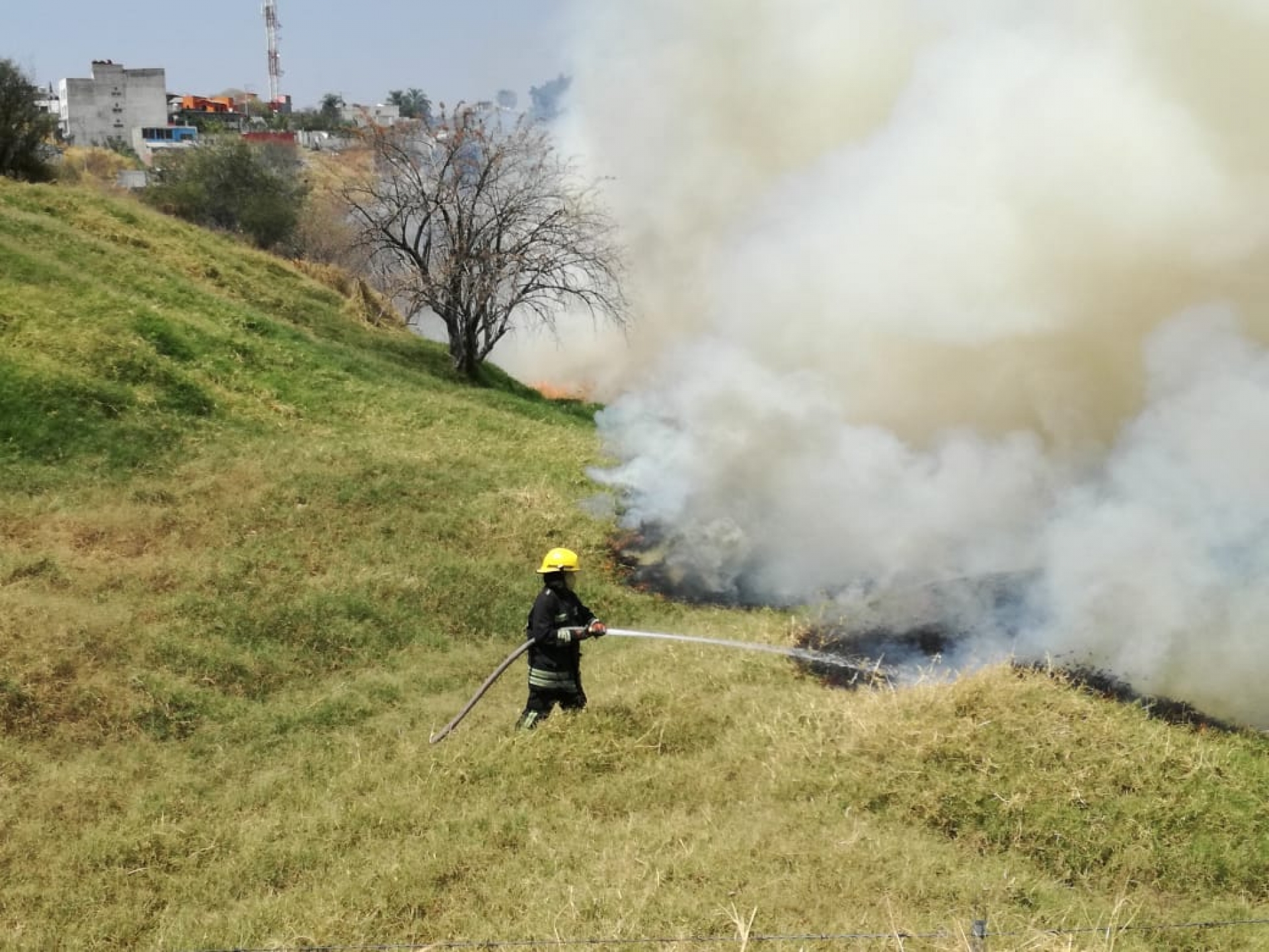Se han registrado 38 incendios forestales en Morelos, en lo que va del año