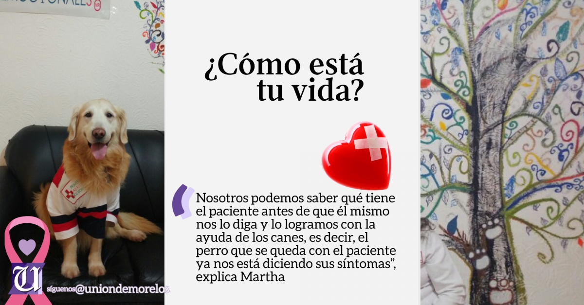 Terapeutas caninos, una opción para tratar la depresión y el desgaste emocional