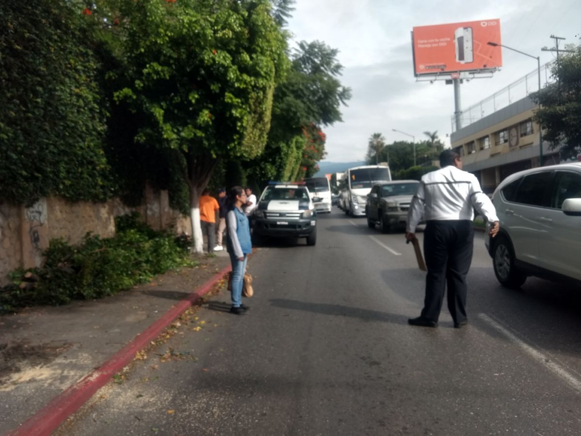 Camioneta derriba un árbol y choca en Tlaltenango