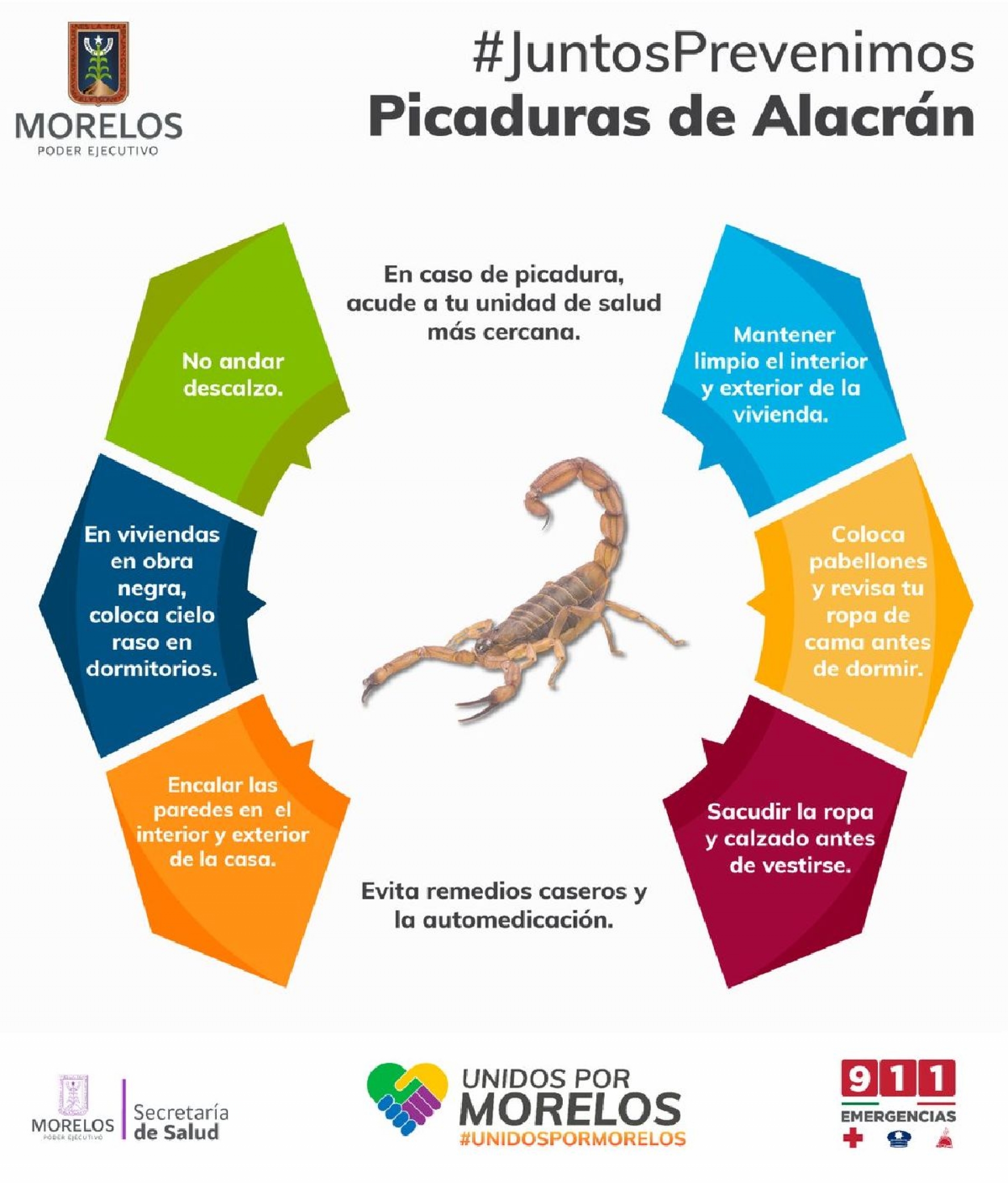 Llama Salud a prevenir picadura de alacrán