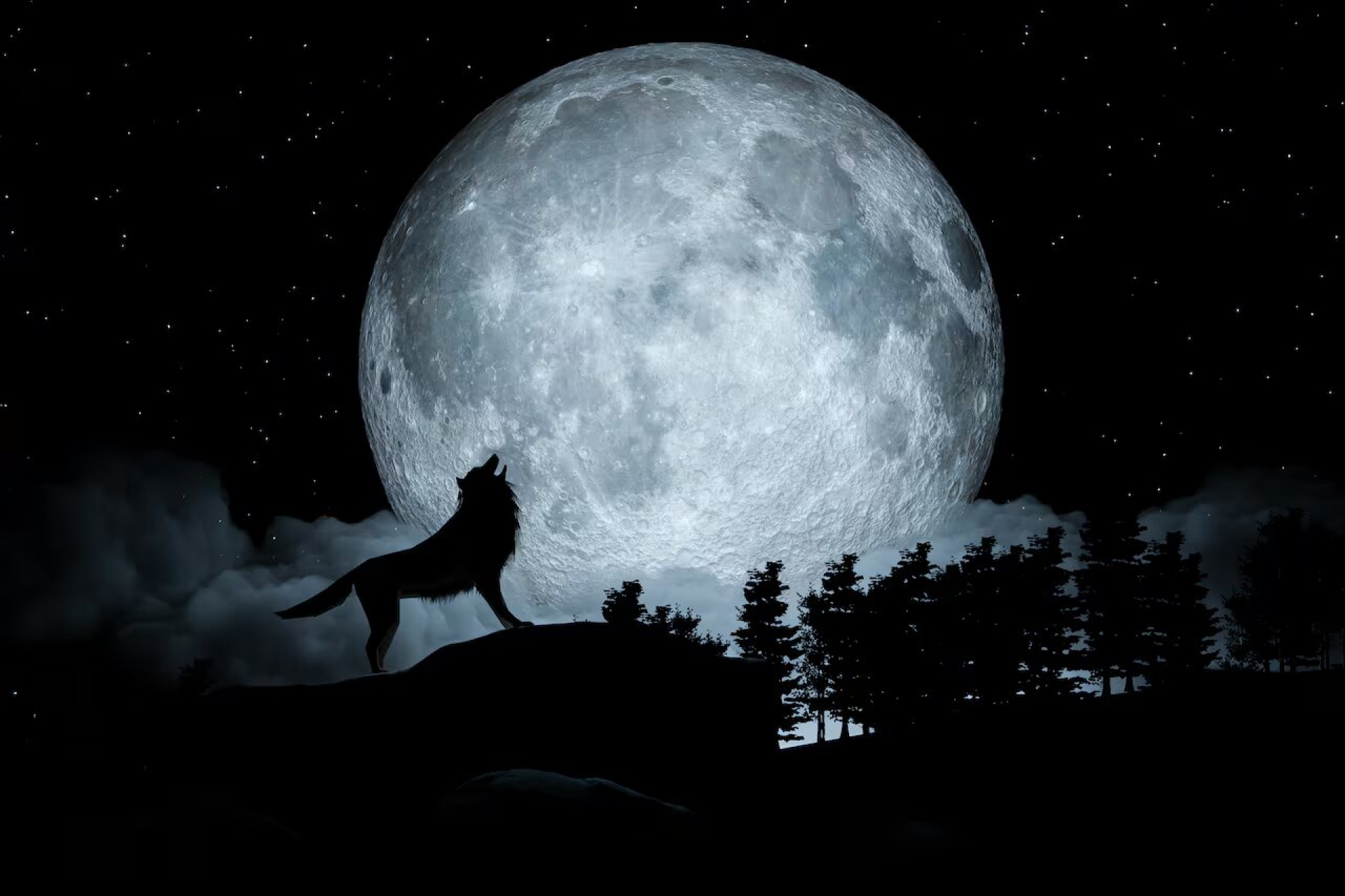 Luna de Lobo: la primera una llena del 2025