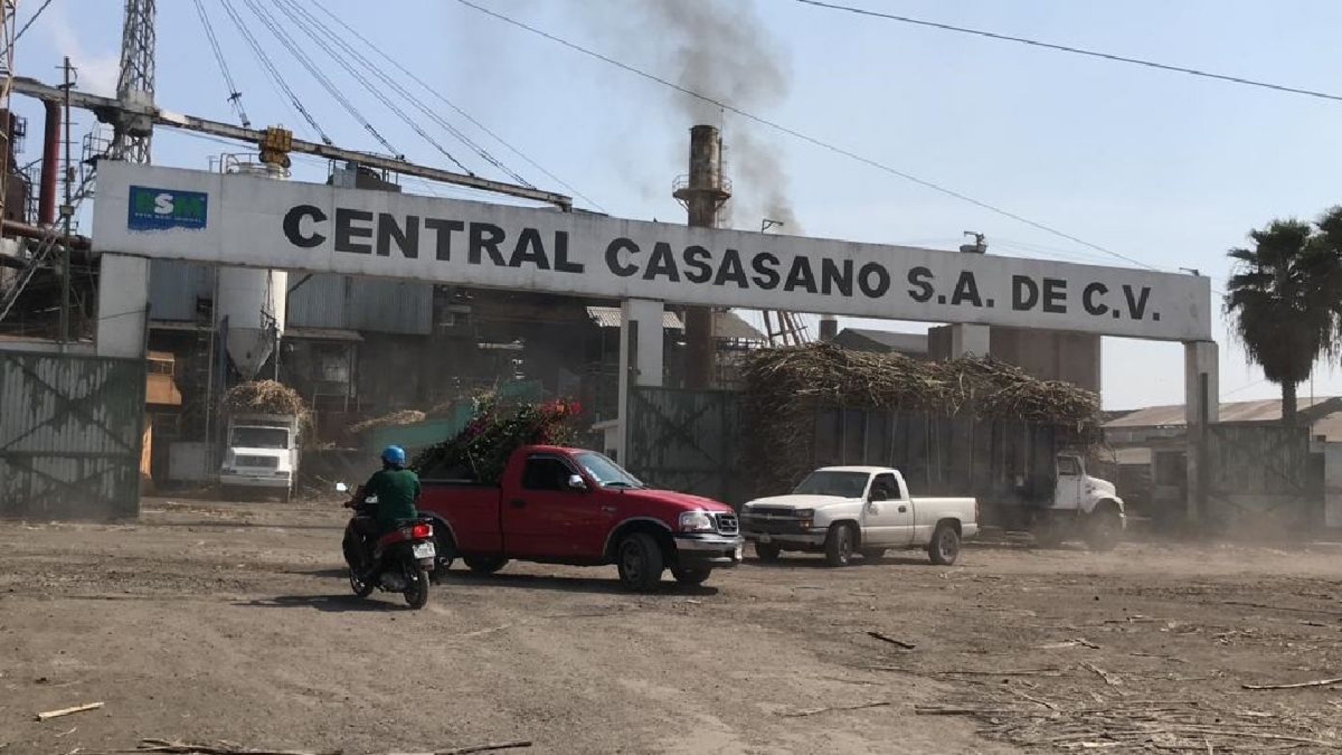 La zafra continuará en Casasano con medidas sanitarias