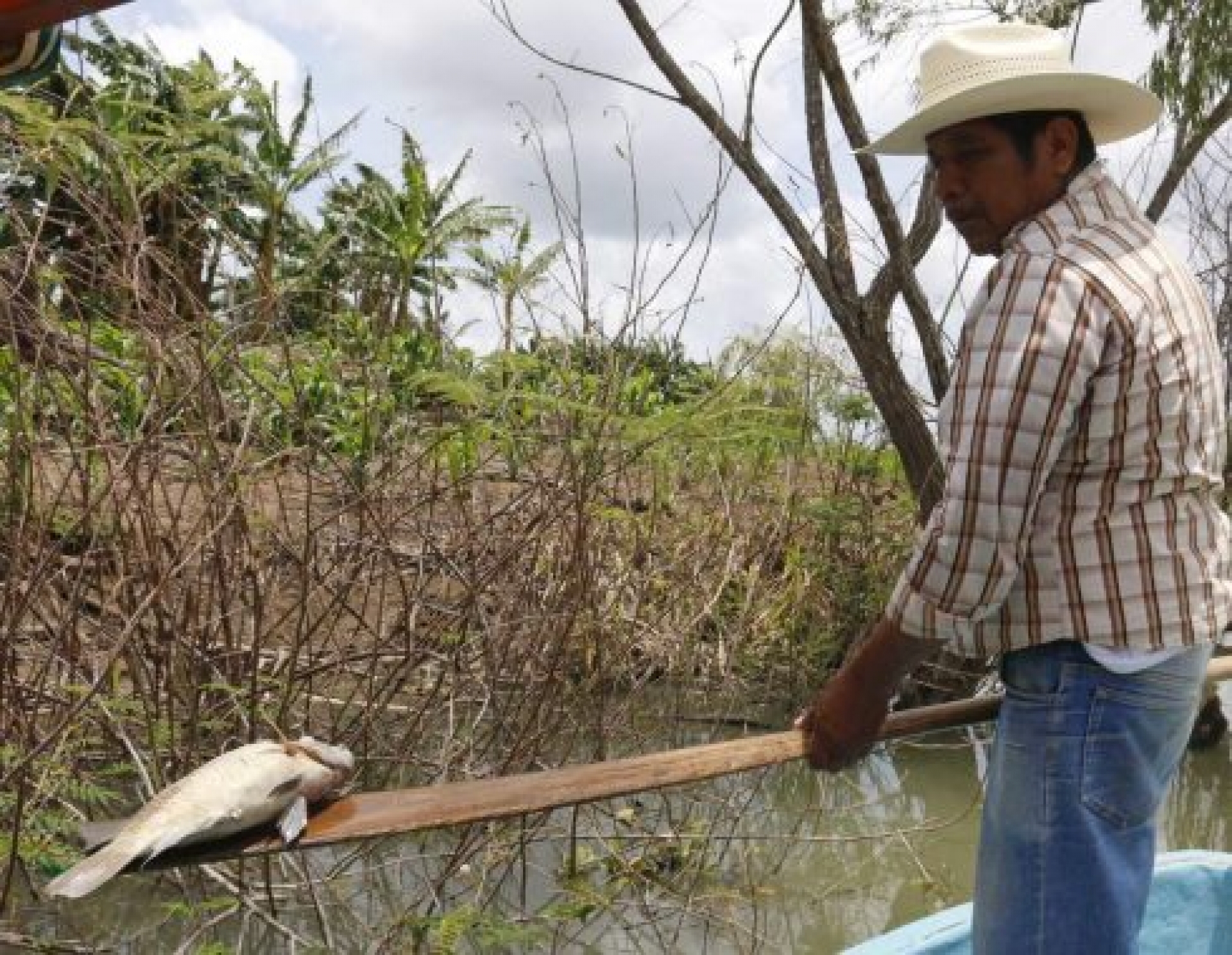 Se vive pobreza y desempleo en Tabasco, la tierra de AMLO