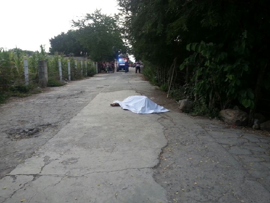 Murió al ser atropellado por una camioneta