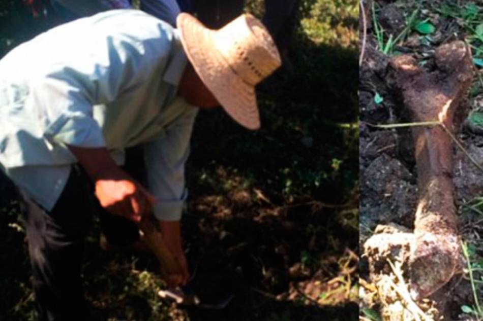 Encuentran otras 7 fosas en Iguala, Guerrero