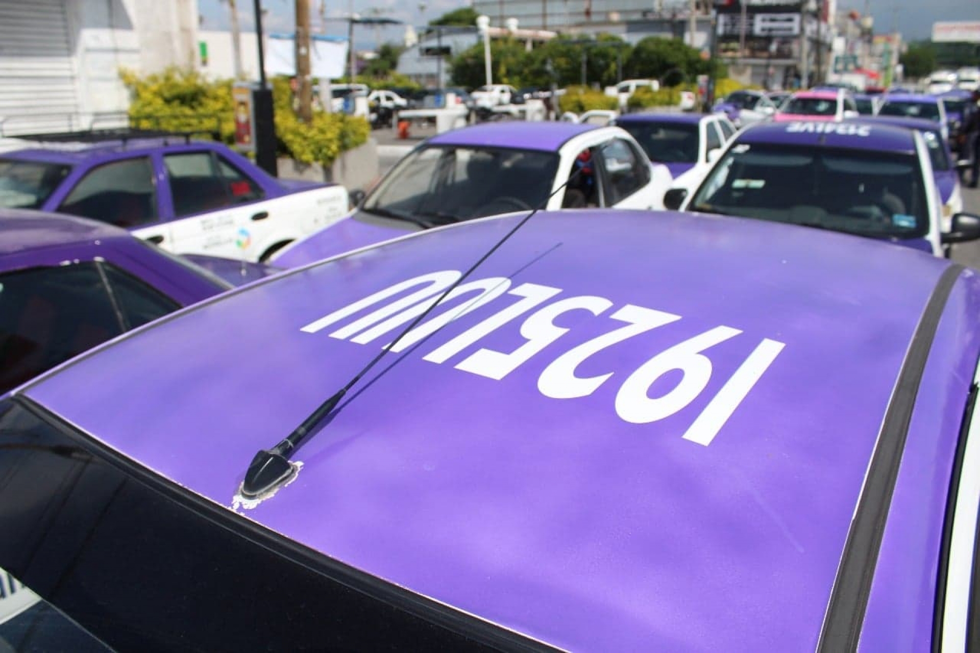 Taxistas amenazan con tomar la SMyT por la falta de concesiones