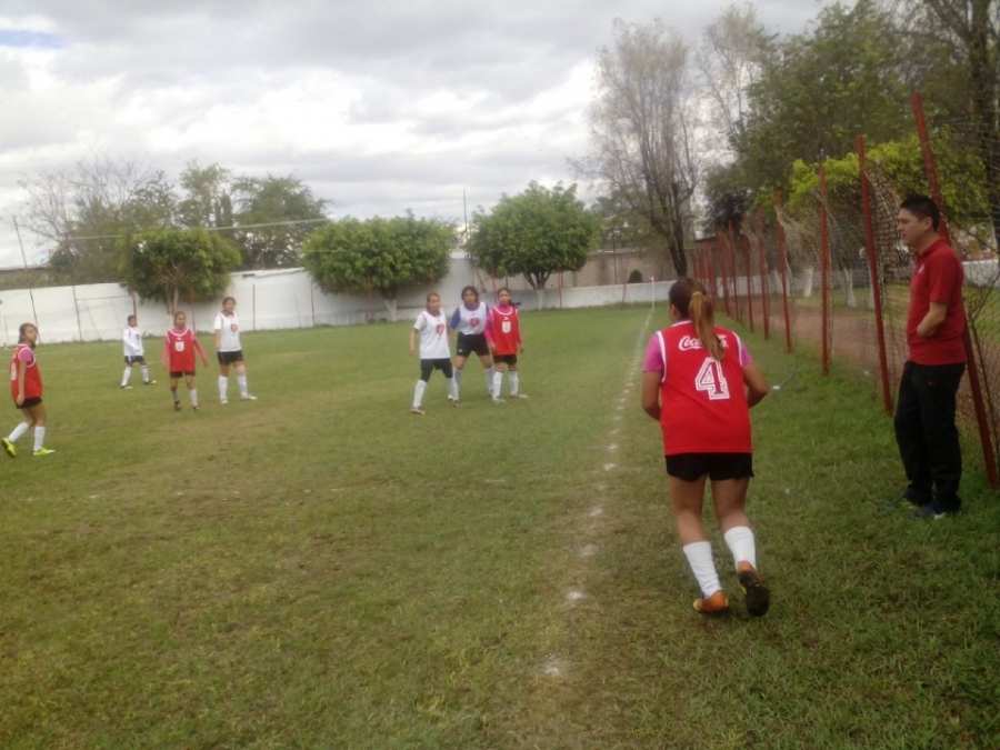 En busca de la gloria