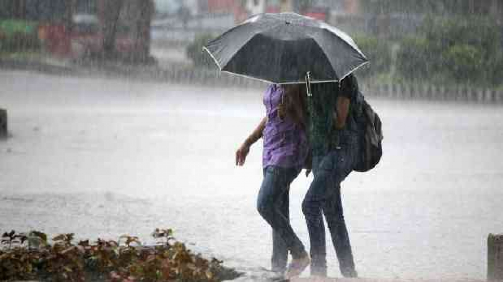 Sin daños por las lluvias del fin de semana