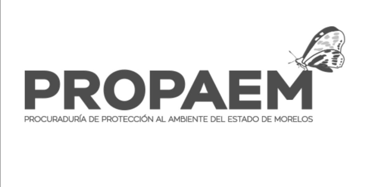 Reciben SDS y Propaem reporte ciudadano sobre hecho de crueldad animal en Cuautla