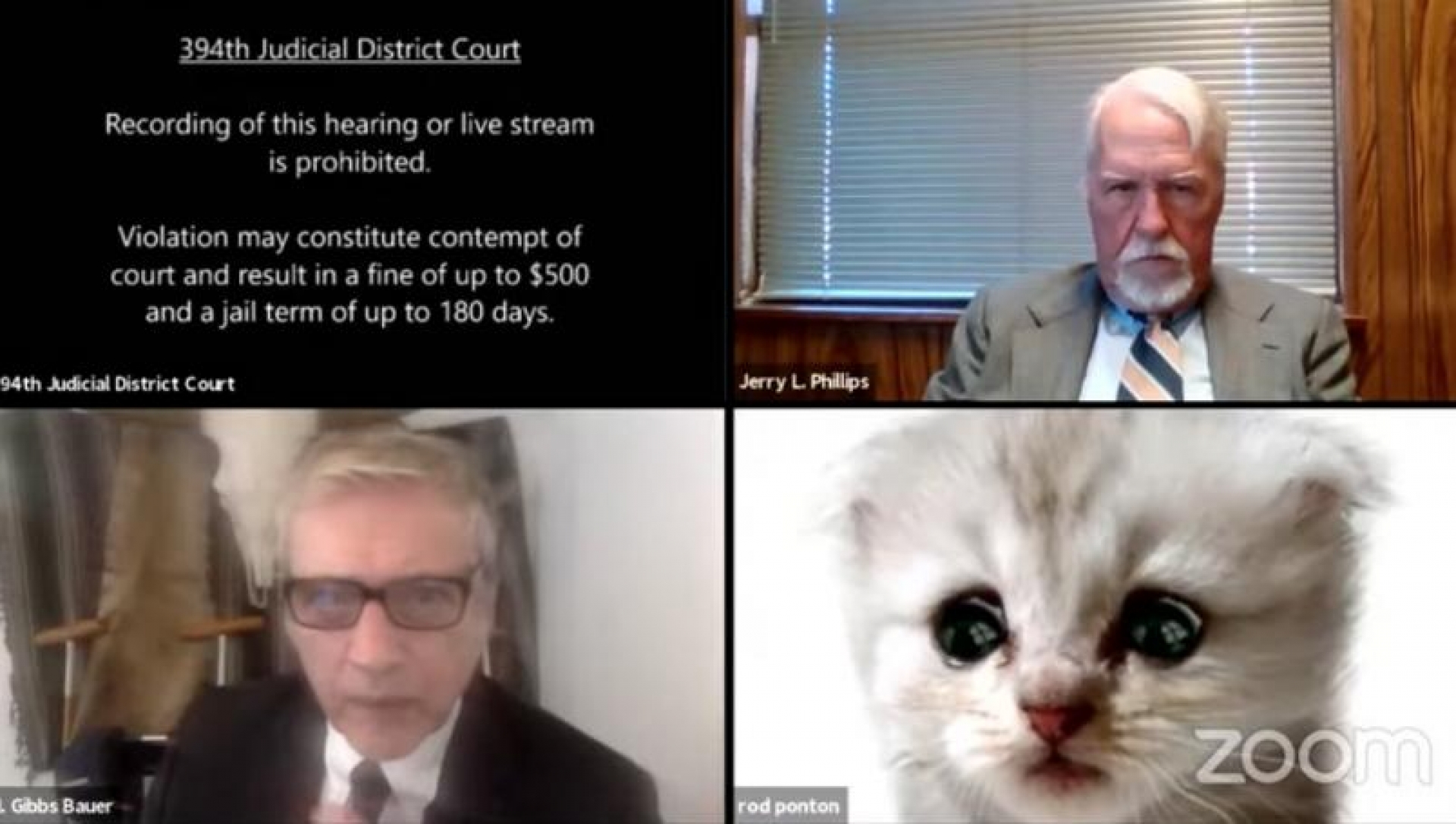 Aparece con filtro de gato en audiencia por Zoom