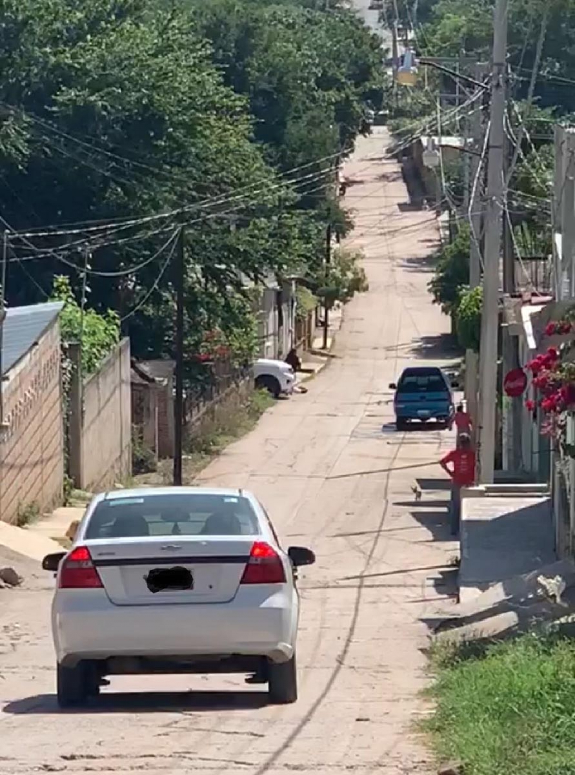 Balean al director de Desarrollo Agropecuario de Puente de Ixtla
