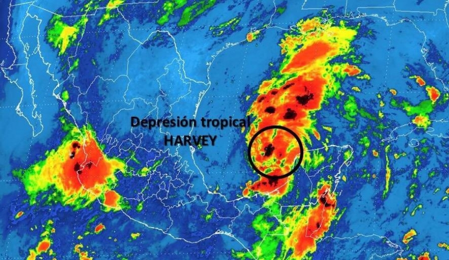 'Harvey' se regenera como depresión tropical en el Golfo de México