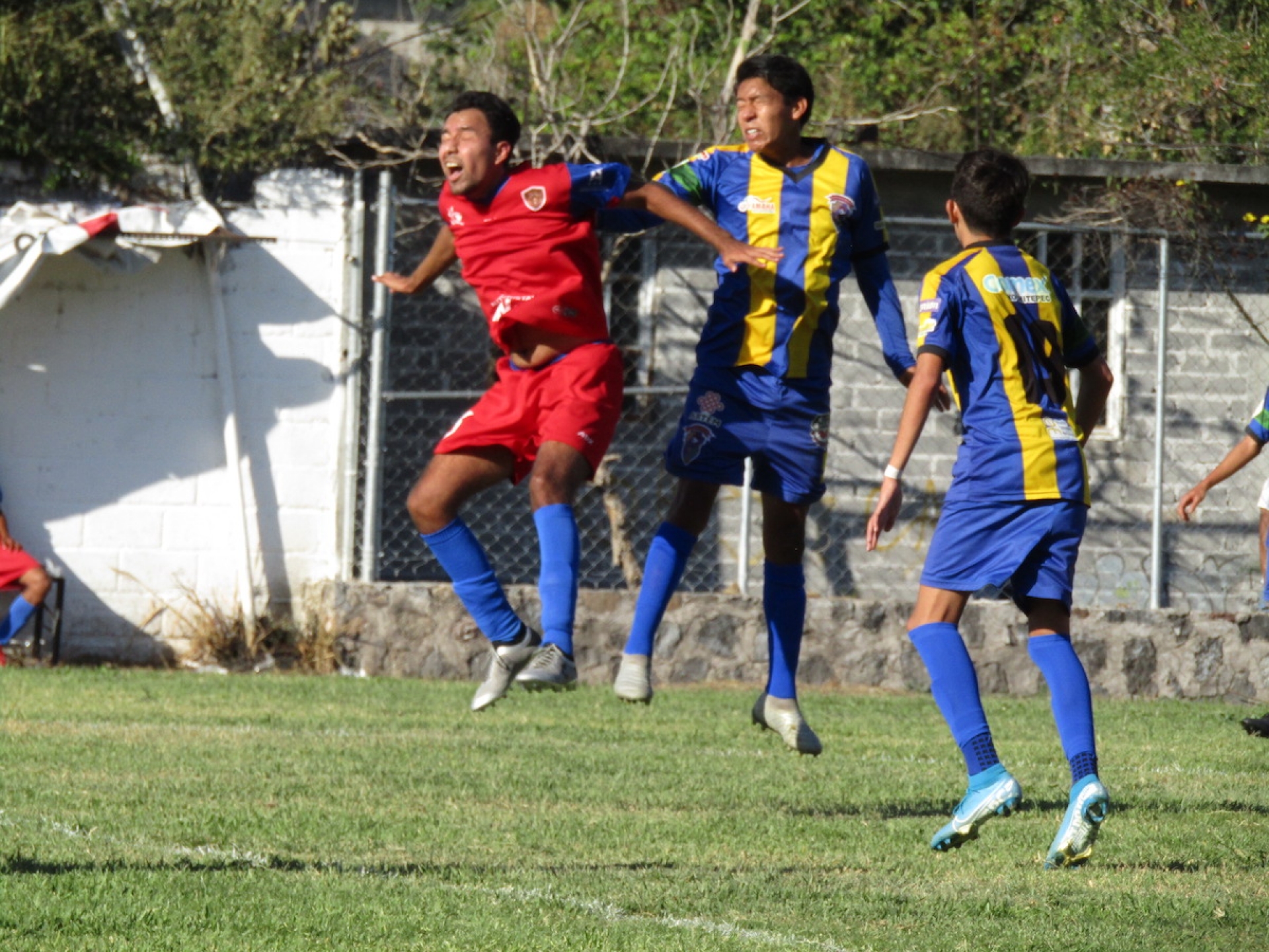 Cortan racha de Caudillos de Morelos