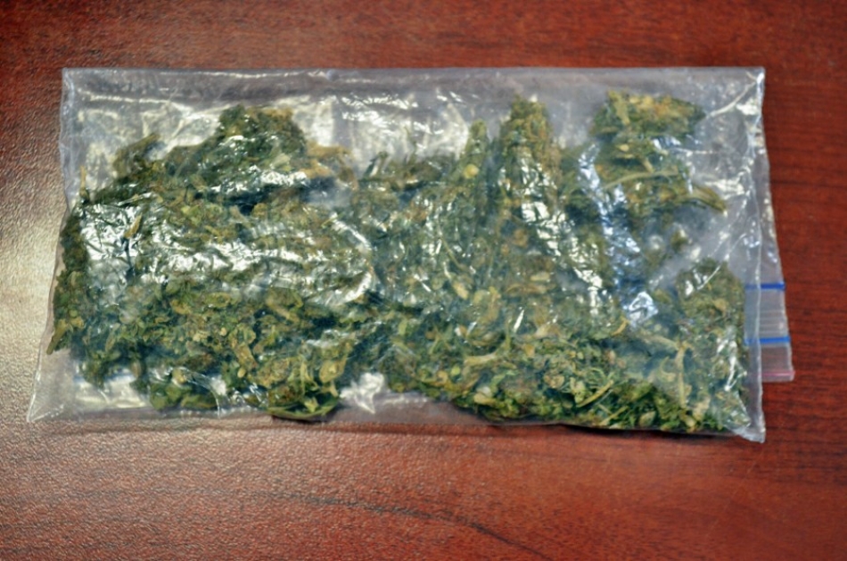 Detienen a dos individuos con droga en la zona surponiente