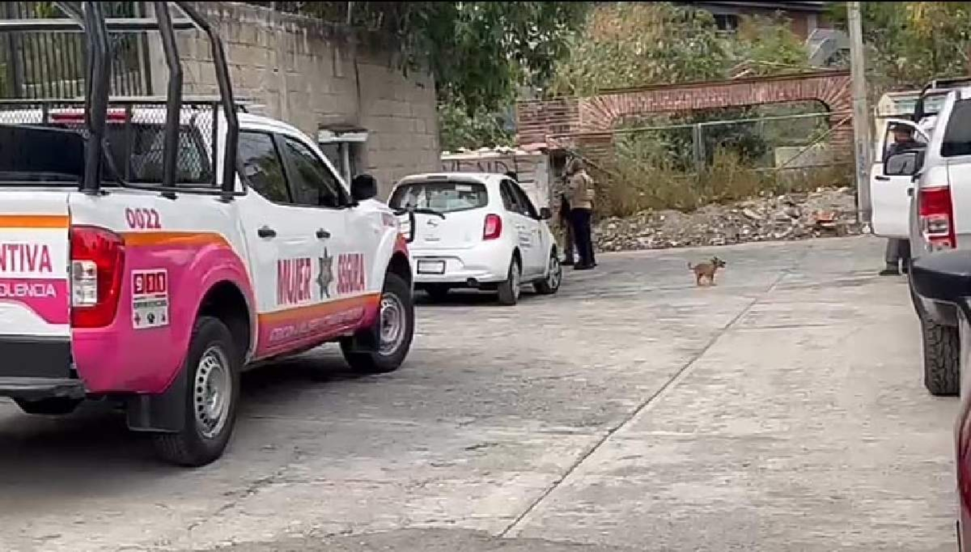 Hallan fosa con dos cadáveres en Temixco