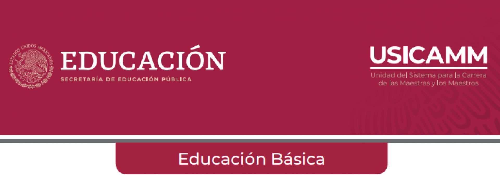 Publican 'Criterios excepcionales para proceso de selección para admisión en educación básica'