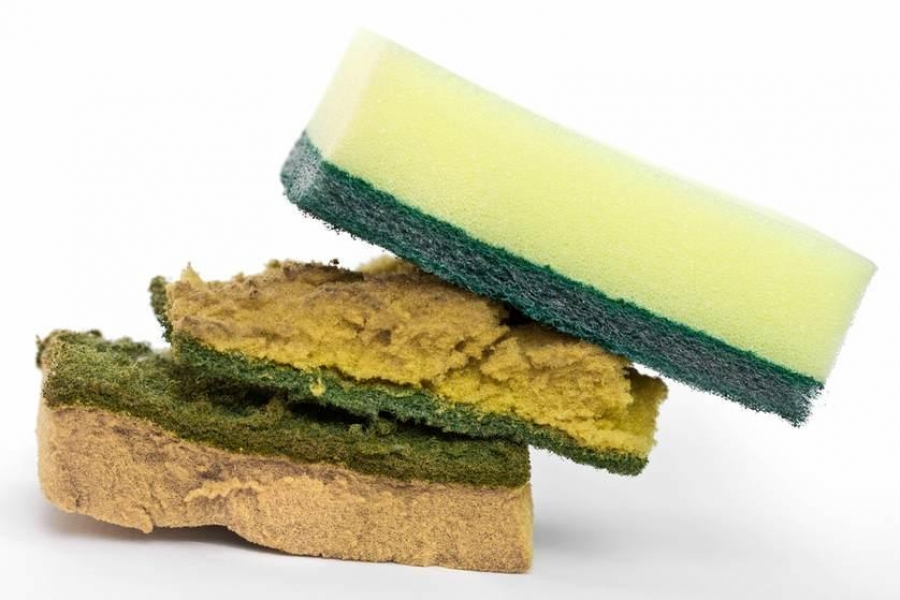 Las esponjas de cocina son un perfecto cultivo de gérmenes