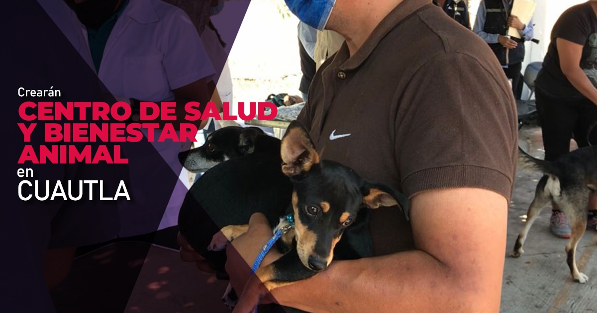 Crearán Centro de Salud y Bienestar Animal en Cuautla