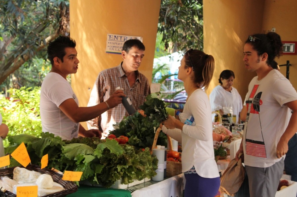 Cien mil pesos al mes, derrama económica del Mercado Verde