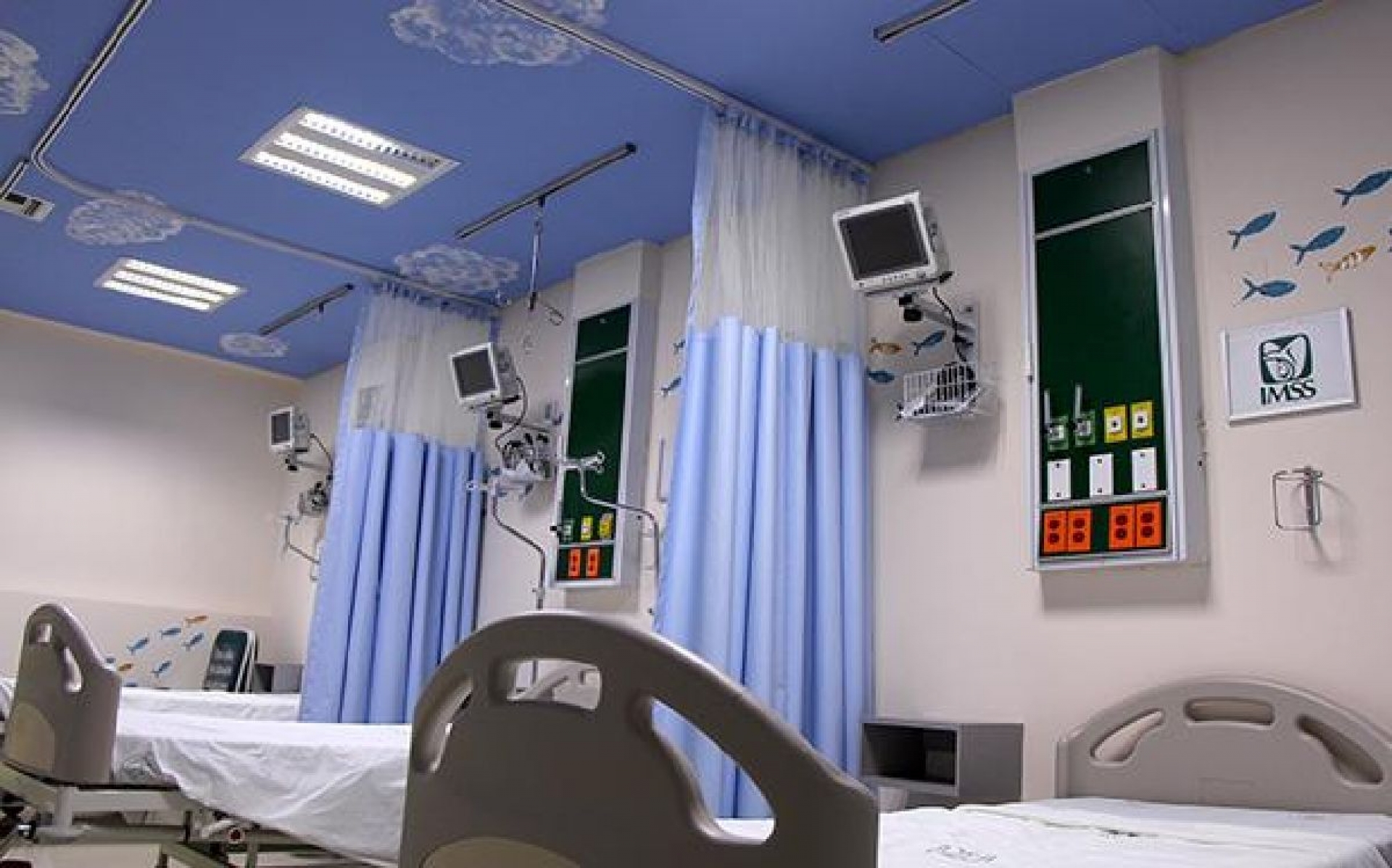 Leucemia, principal cáncer que afecta a niños: IMSS Morelos