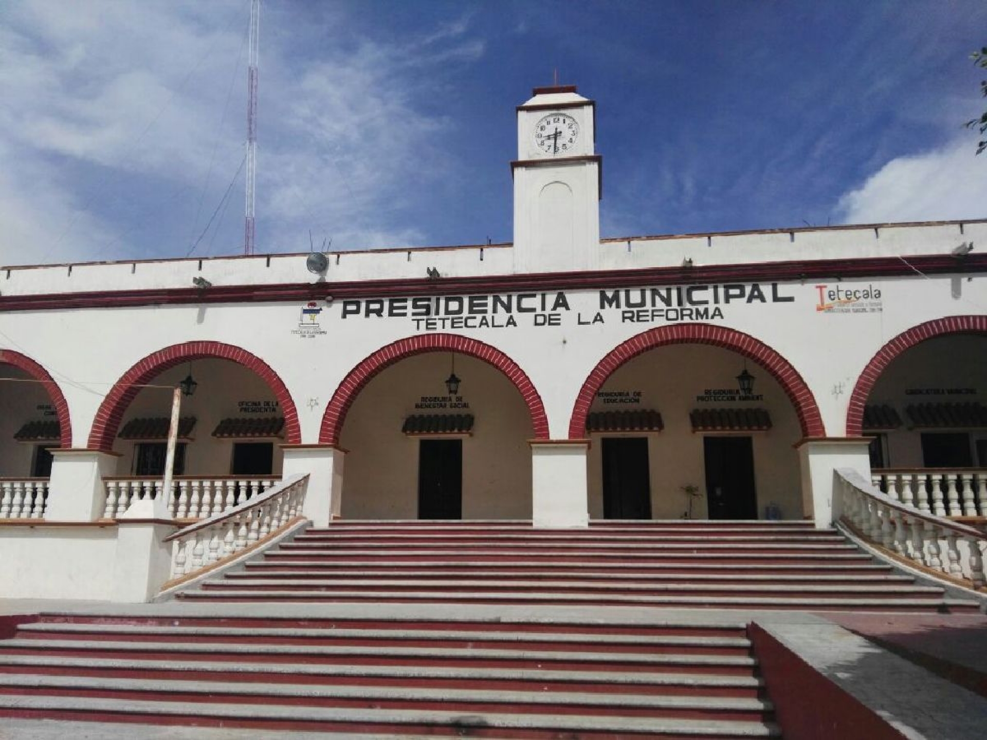 Denuncian envenenamiento de perros callejeros en Tetecala