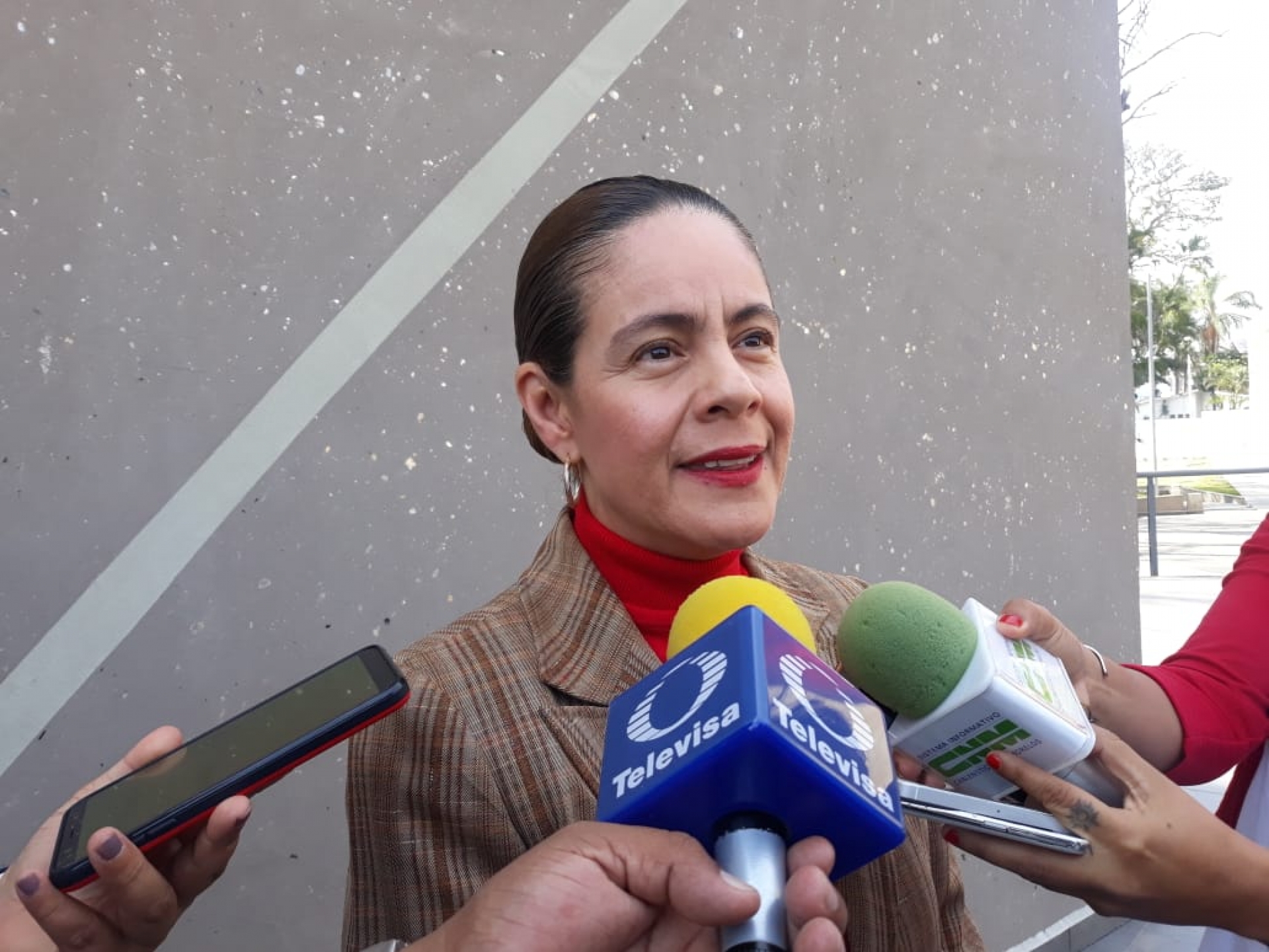 Exhorta diputada a desahogar tema del paquete económico 2019