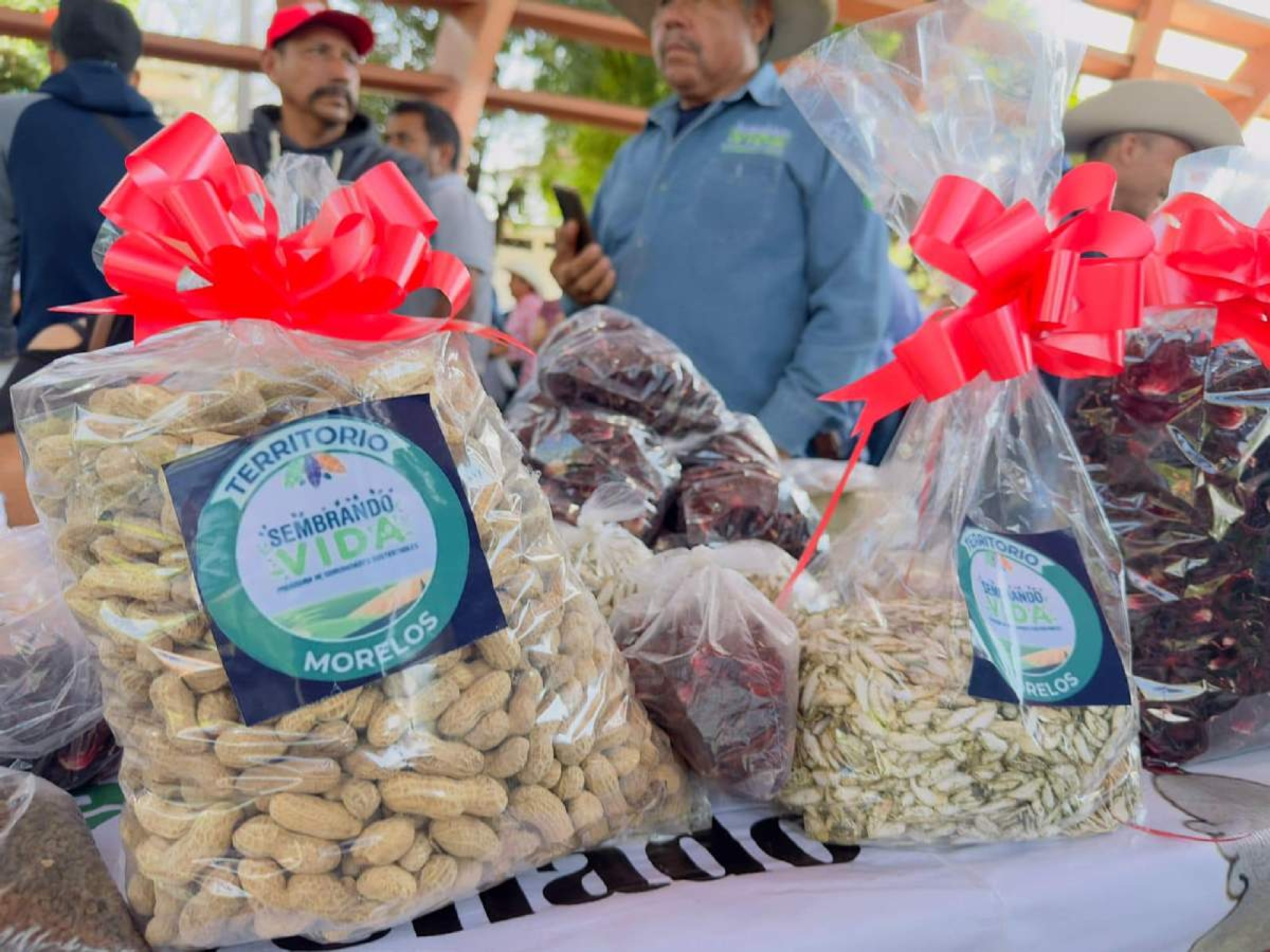 Abrirán tiendas de alimentos a bajo costo