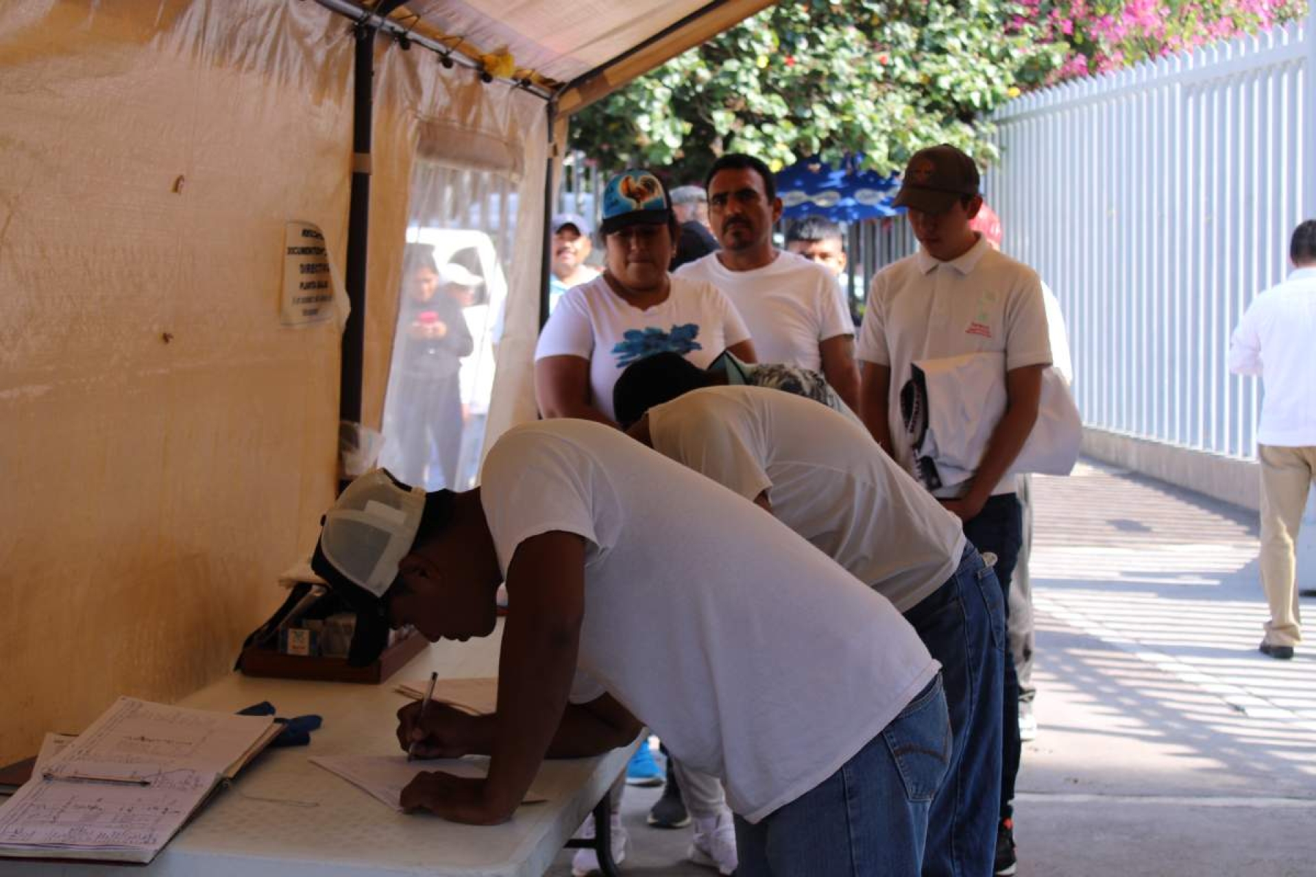 Piden regular las peleas de gallos