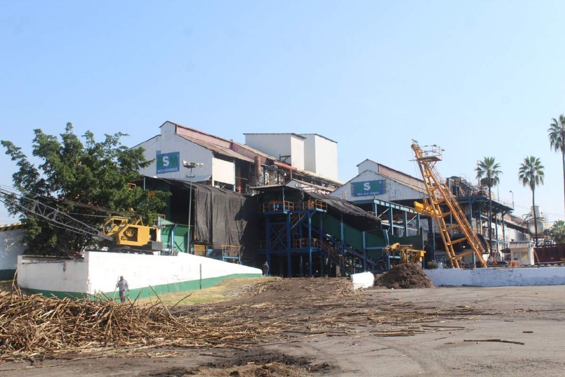 Zafra en el IEZ llega al primer tercio de molienda